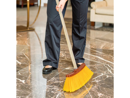 Escoba Vinilo Grande La palma de oro