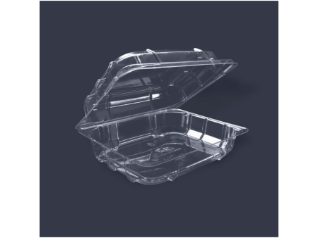 Contenedor de plástico transparente con bisagra